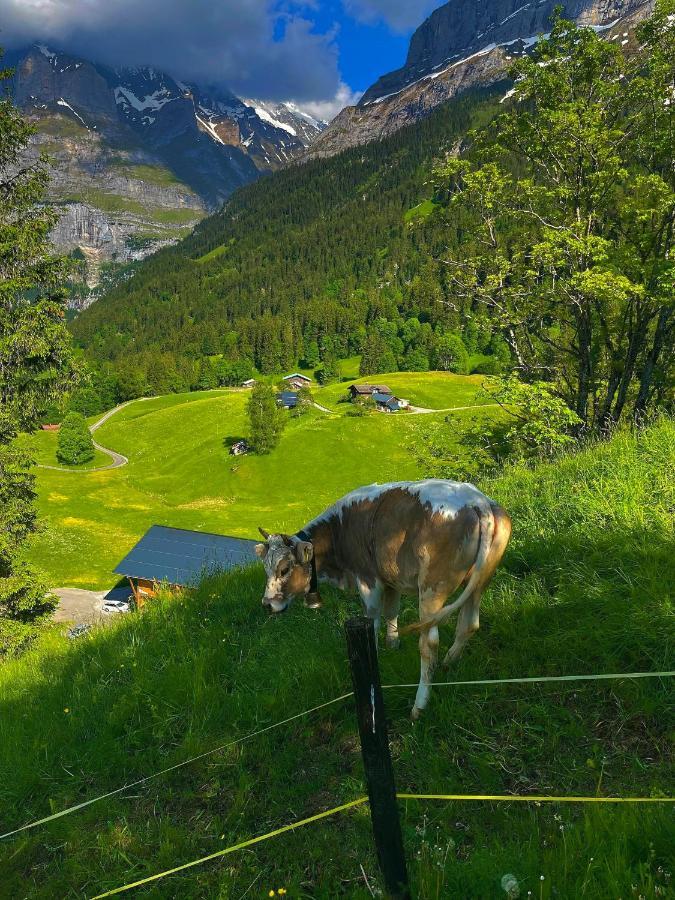 Romantisches Plaetzchen In Der Natur Гриндельвальд Экстерьер фото