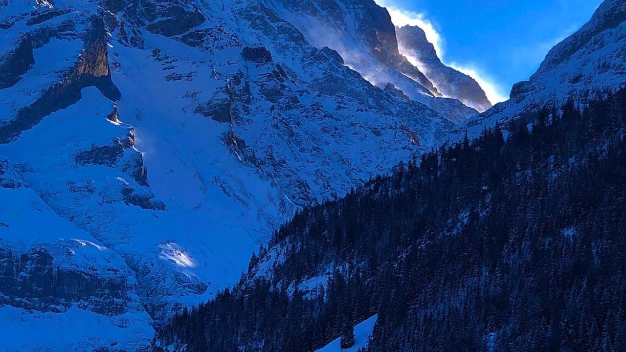 Romantisches Plaetzchen In Der Natur Гриндельвальд Экстерьер фото